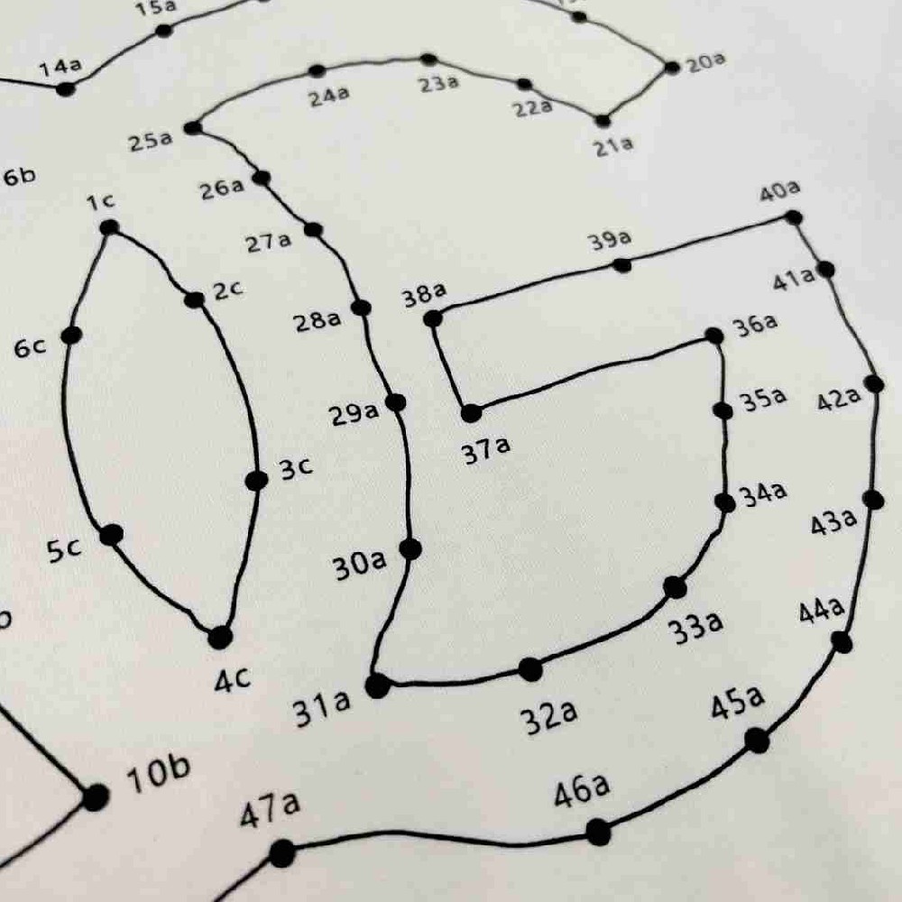 DOLOE & GABBANA T Shirt DGY0026